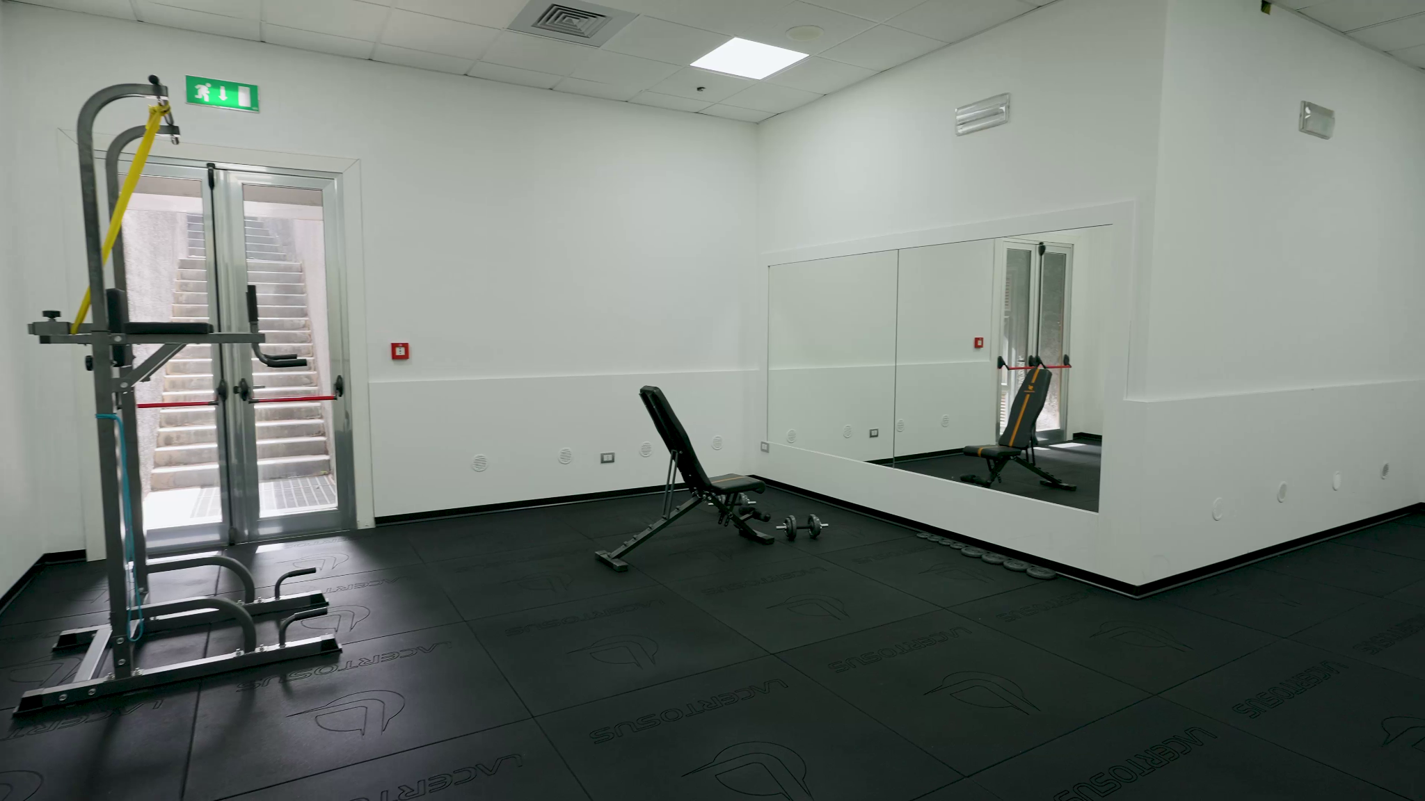 Adjacent approx. 50 m² room with LACERTOSUS flooring